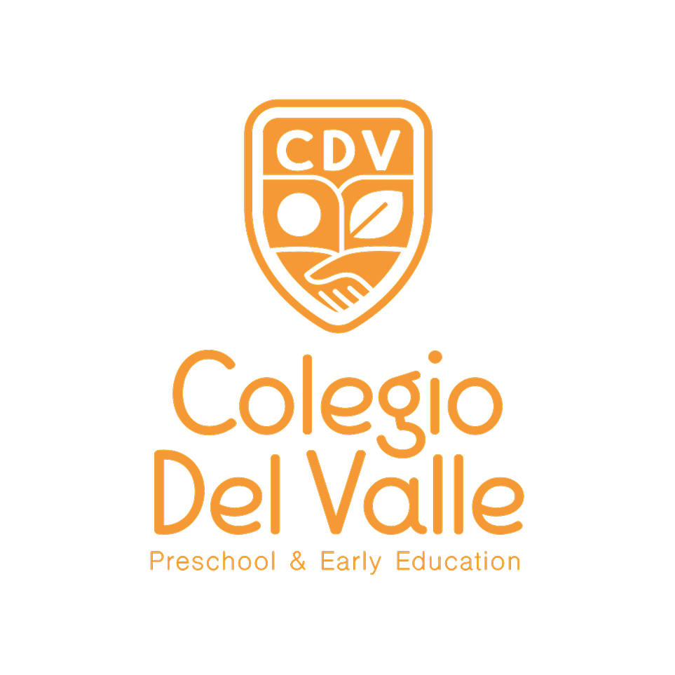 CDV-Logotipo-Naranja